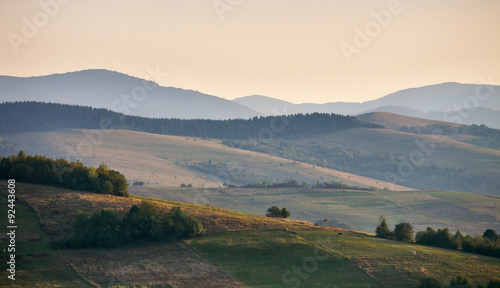 Carpathian Evening