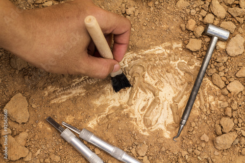 Skeleton and archaeological tools.Training for dig fossil.