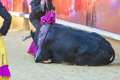 Sztuka walki byków i kontrowersje związane z wykorzystywaniem byków przez zwierzęta podczas walki byków
