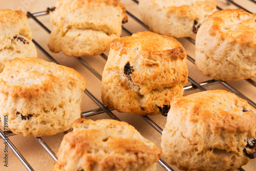 Freshly baked scones on a cooling rack