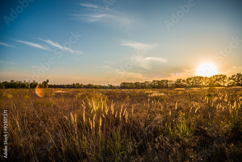 Landscape sunset over field