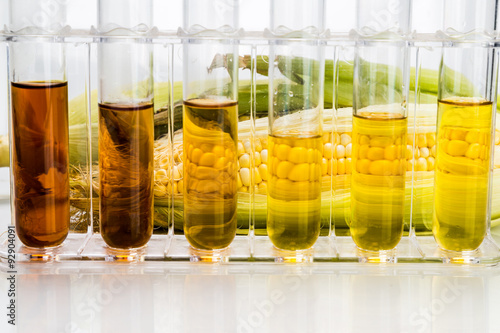 Corn generated ethanol biofuel with test tubes on white background