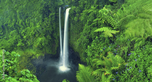 Waterfall Nature Scenics Waterfall Forest Concept