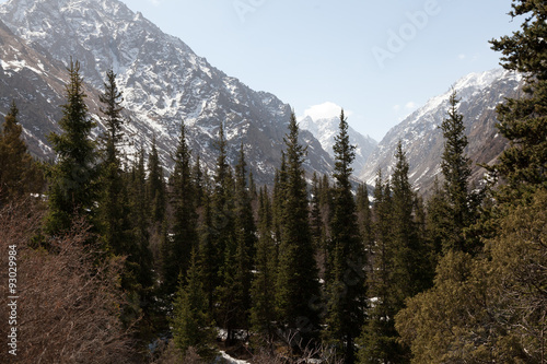 Mountain landscape. Kyrgyzstan. Ala-Archa.