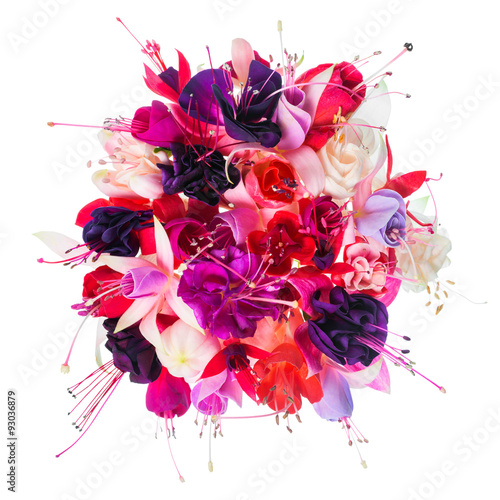 bouquet of colorful fuchsia flowers is isolated on white backgro