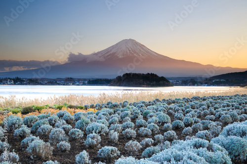 Mountain Fuji in winter, japan.