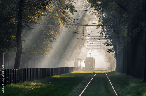 Green tramway in tree alley, in the morning mist illuminated by the sun, Krakow, Poland