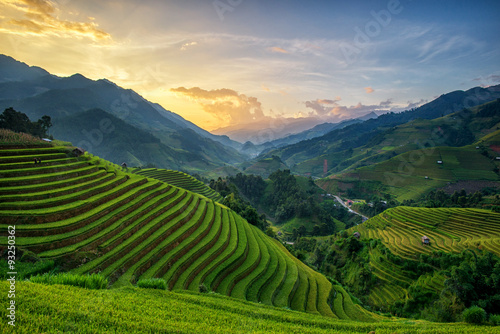 Terrace rice field - Mù Căng Chải District, Yen Bai Province, Vietnam