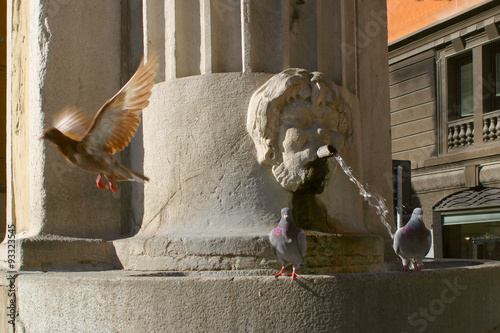 Italia,Emilia Romagna,Reggio Emilia,fontana in piazza Prampolini.