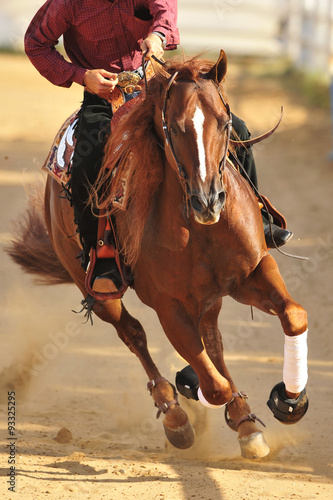 The close-up view of a rider and horse running ahead 