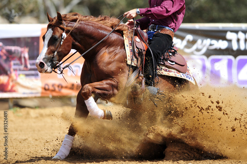 The side view of a rider stopping a horse in the sand.