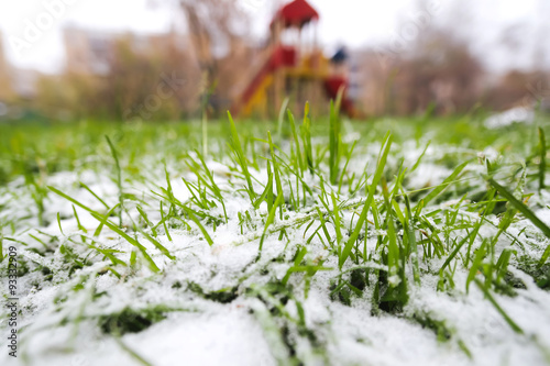 Frozen Grass