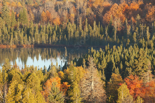 Small lake among trees with Fall color in northern Minnesota