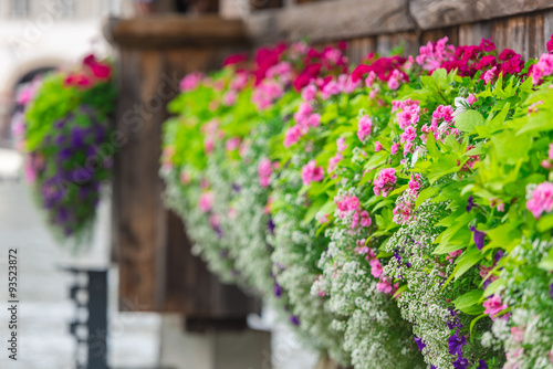Flowers on The Chapel Bridge in Lucerne