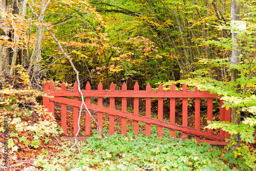 old red gate in the woods