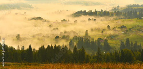 Misty countryside