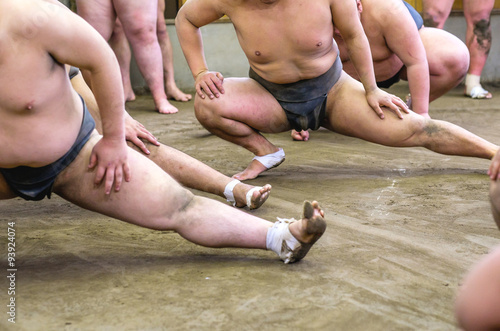 Sumo fighters