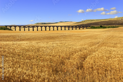 Summer rural landscape: railway bridge on the wheat field.Apulia.ITALY