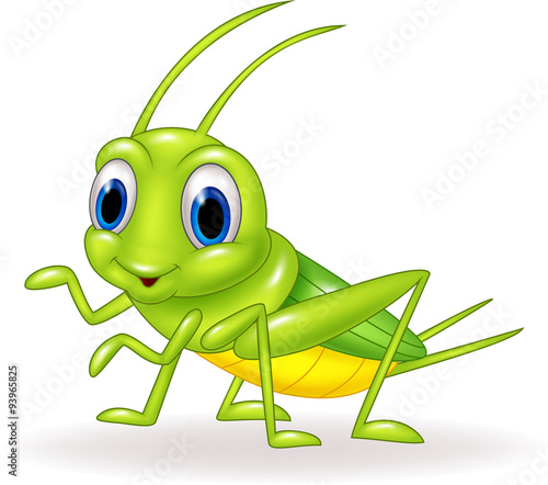 Cartoon cute green cricket isolated on white background