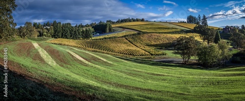 Oregon Wine Country