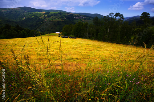  mountains with farmland. Asturia