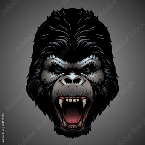 Gorilla head illustration