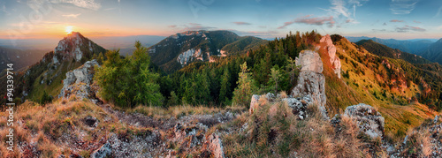 Green forest in mountain panorama