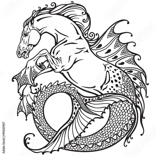 hippocampus or kelpie mythological sea-horse . Black and white image
