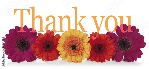 Saying Thank you with Flowers - five dahlia heads laid in a row with the word 'Thank you' emerging from the top in a wide banner on white background 
