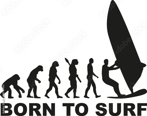 Born to surf evolution windsurfing