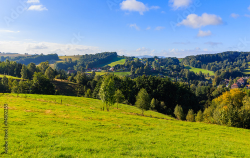 The virgin forest of the fresh green