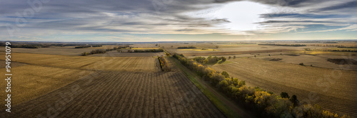 Autumn Crop Land