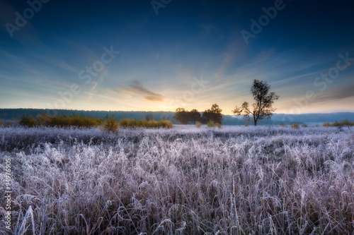 Autumnal frosty morning on meadow