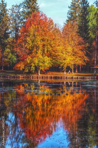 Autumn colour in water