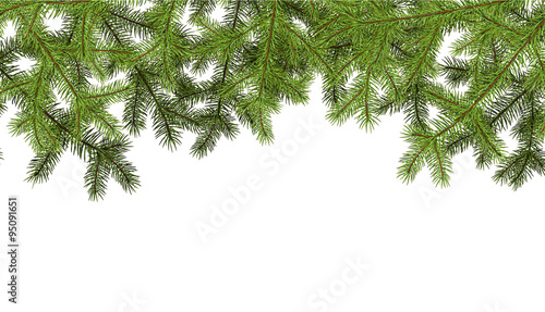 Background with fir branches.