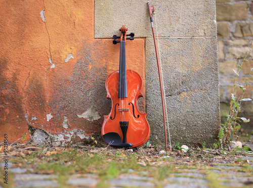 Geige Instrument Garten Park