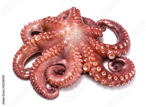 Pulpo entero