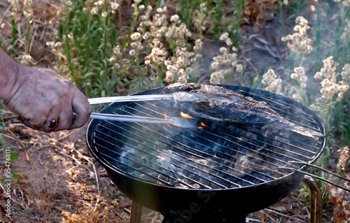 Sea Bream Fish Grilled