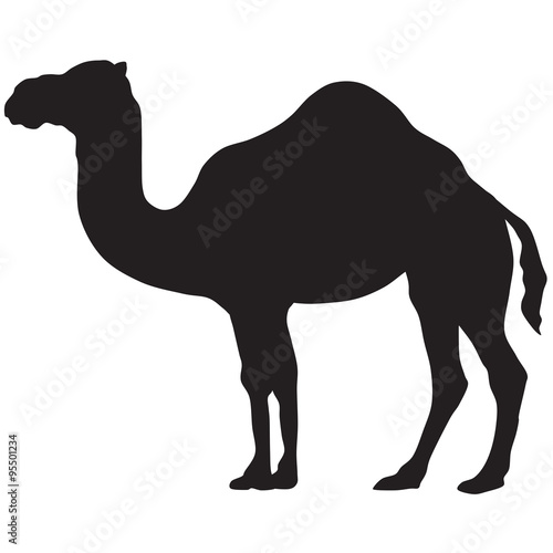 camel silhouette-vector