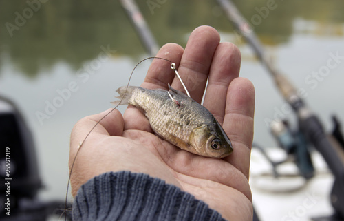 A live bait for pike fishing