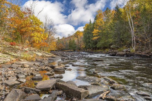 River Flowing Through a Forest in Autumn - Ontario, Canada