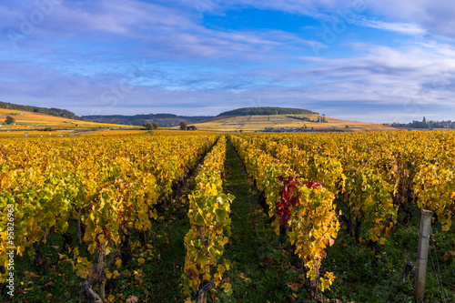 automne en bourgogne