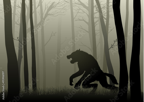 Werewolf In The Dark Woods