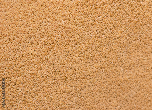 porous brown background