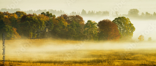 Poranne mgły spowijające jesienny las