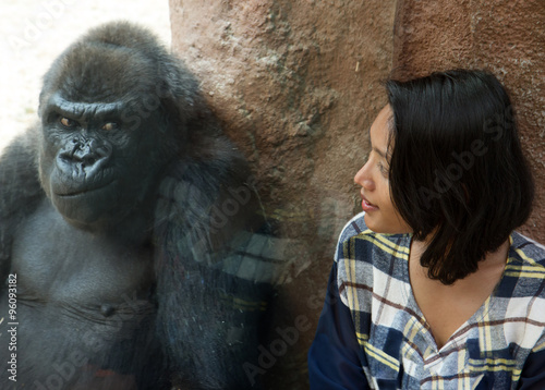 Zoo visitor at the gorilla enclosure