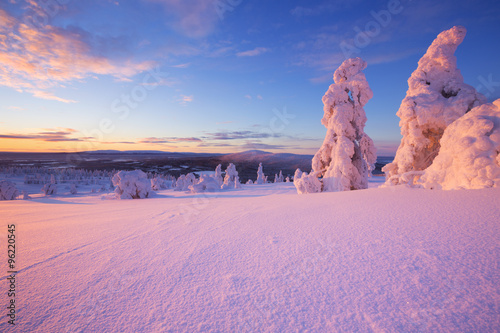 Sunset over frozen trees on a mountain, Levi, Finnish Lapland