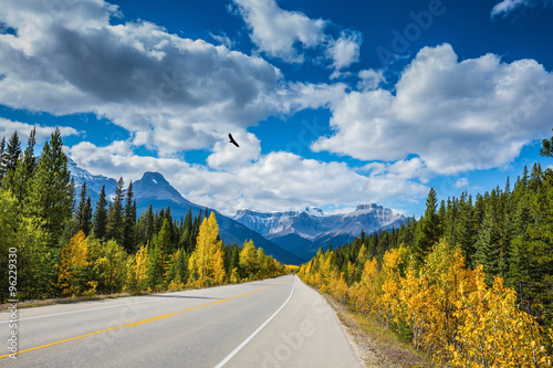 Travel to the Bow River Canyon in September