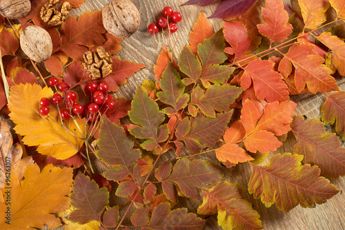 colorful autumn leaves on wooden background