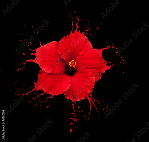 red flower splashes